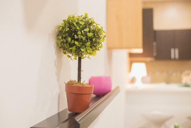 Appartement Center